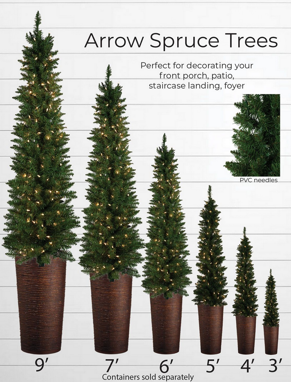 arrow spruce arrow spruce