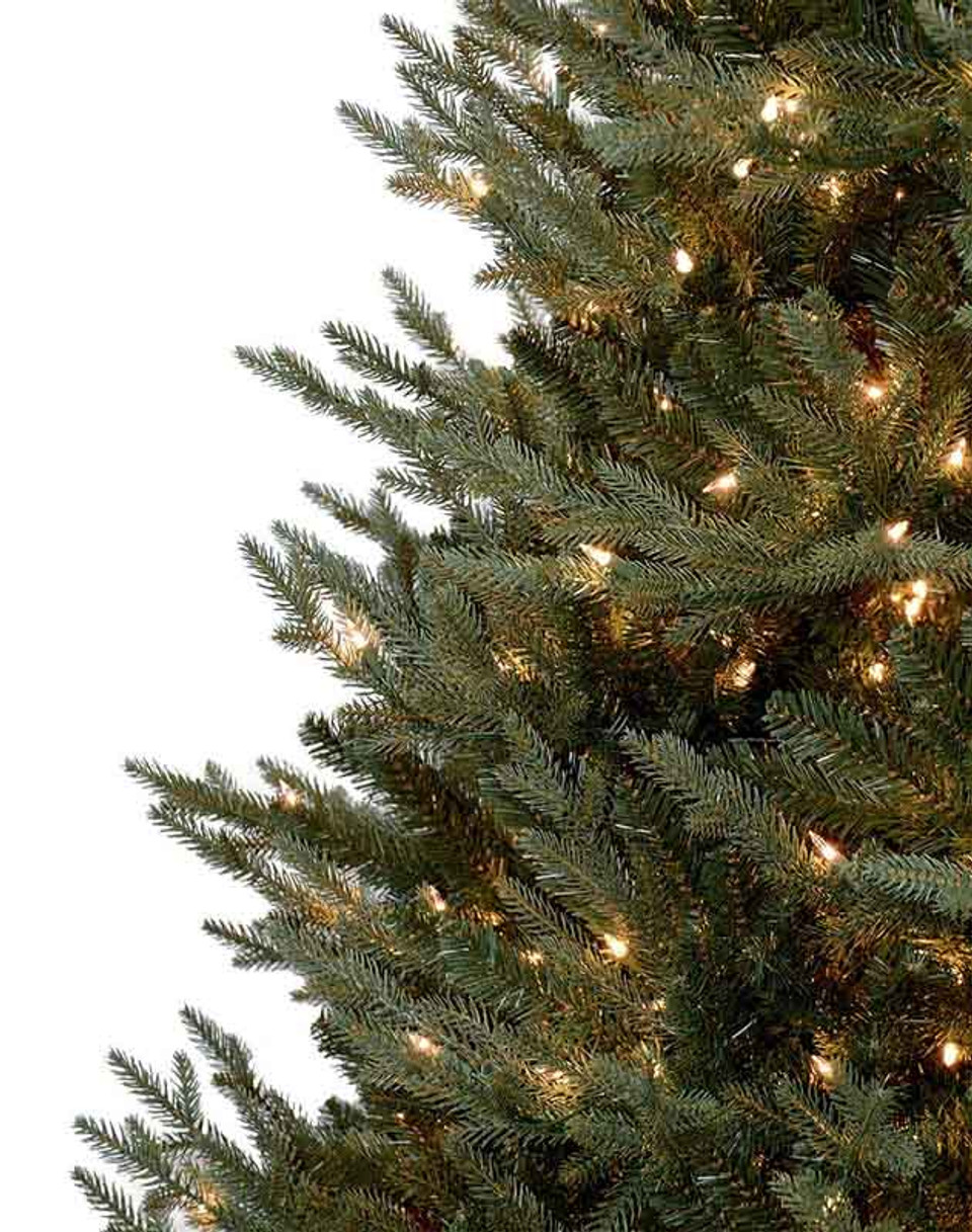 cumberland fir cumberland fir