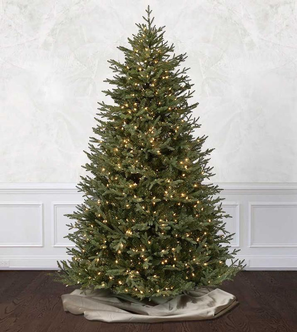 cumberland fir cumberland fir