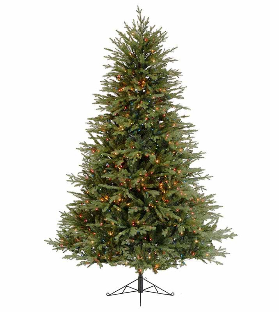 cumberland fir cumberland fir