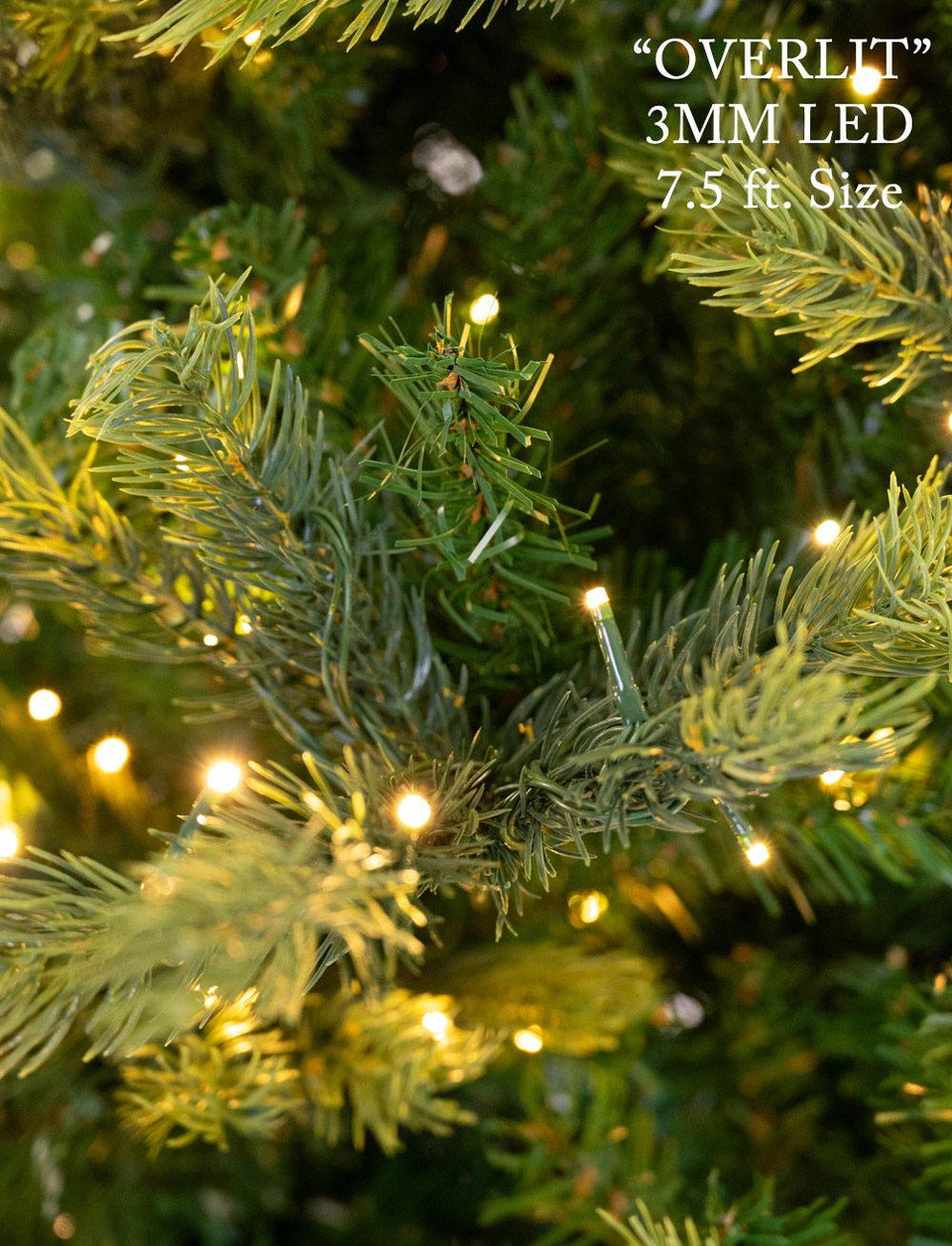 annabelle pine annabelle pine