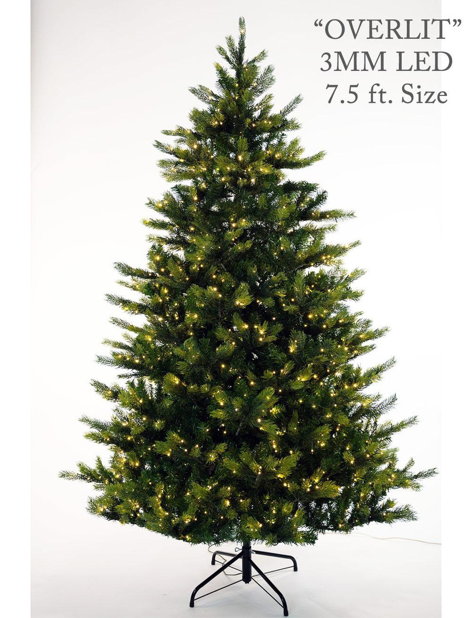 annabelle pine annabelle pine