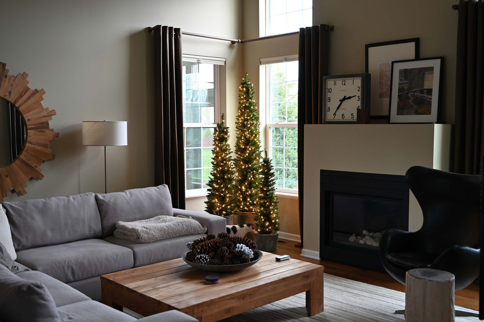 arrow spruce arrow spruce