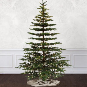 bedford balsam fir
