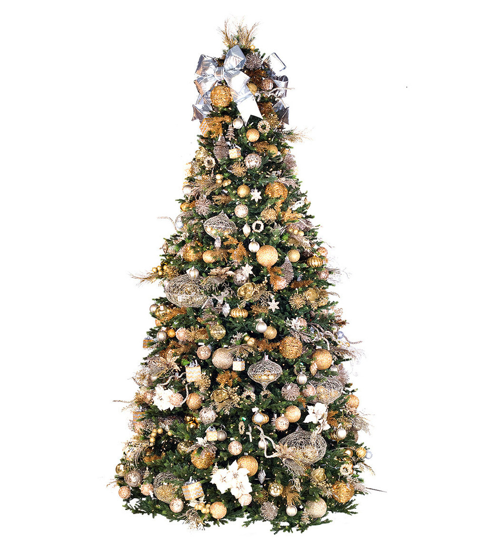 midland wexford spruce midland wexford spruce