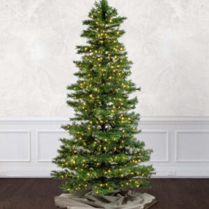 southaven spruce (clearance)