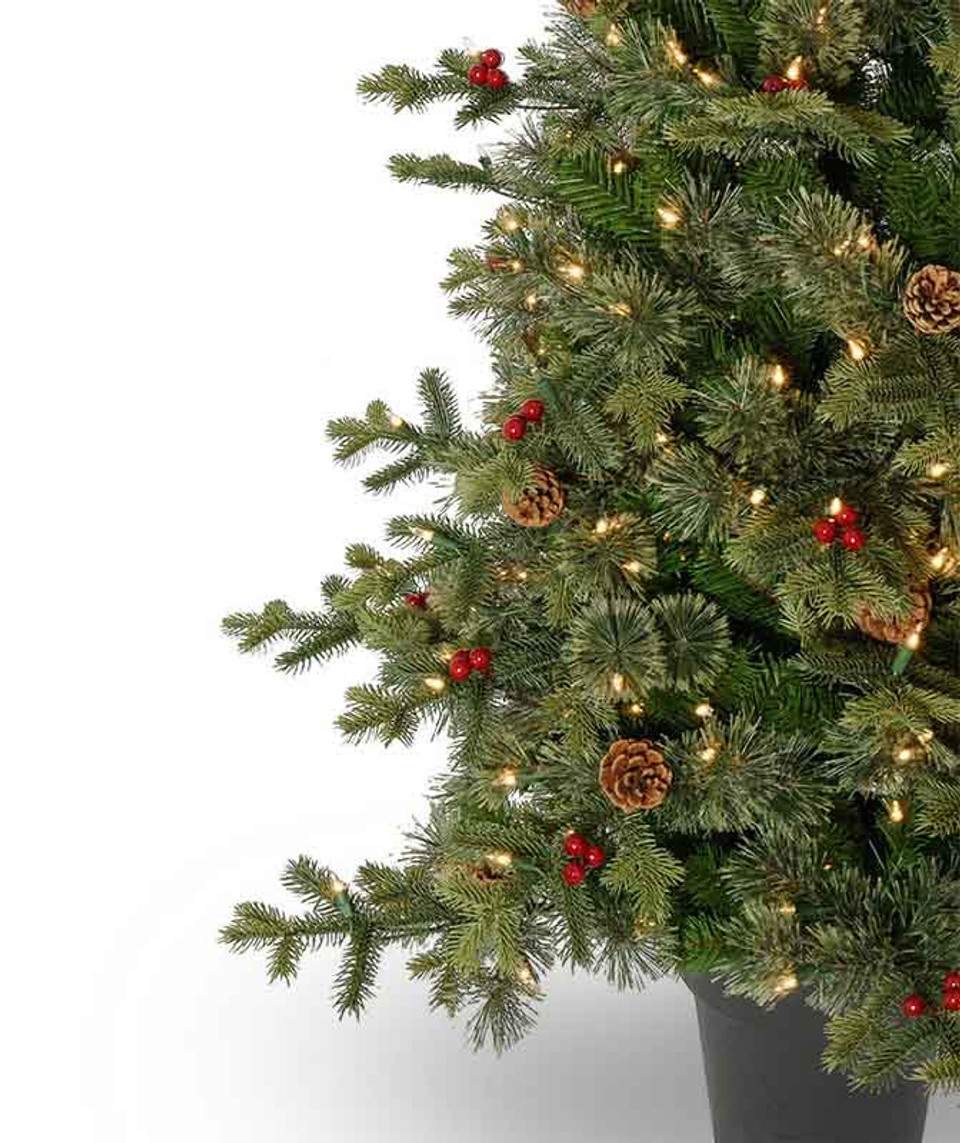 potted timberline potted timberline