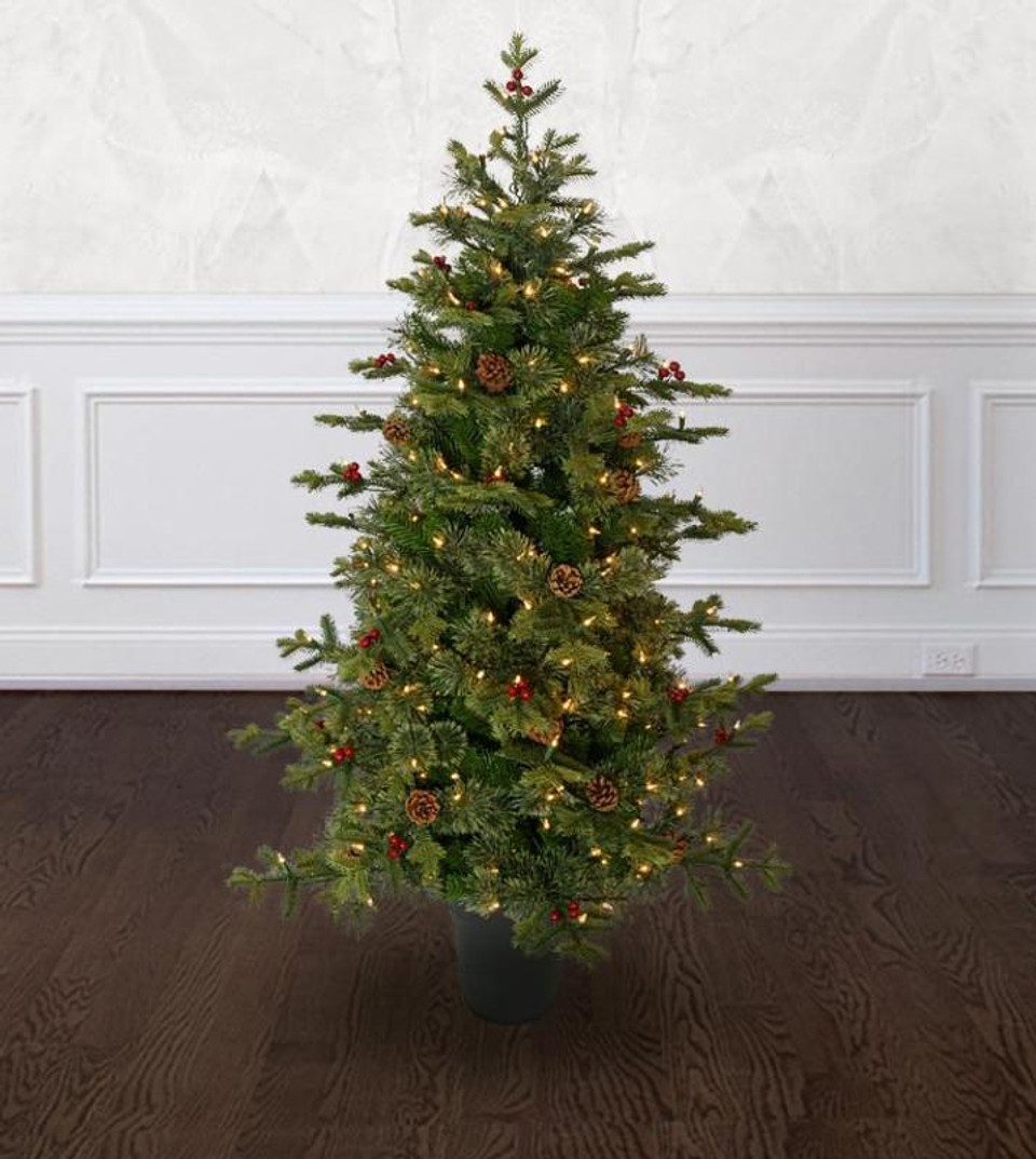 potted timberline potted timberline