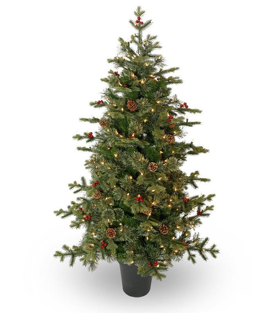 potted timberline potted timberline