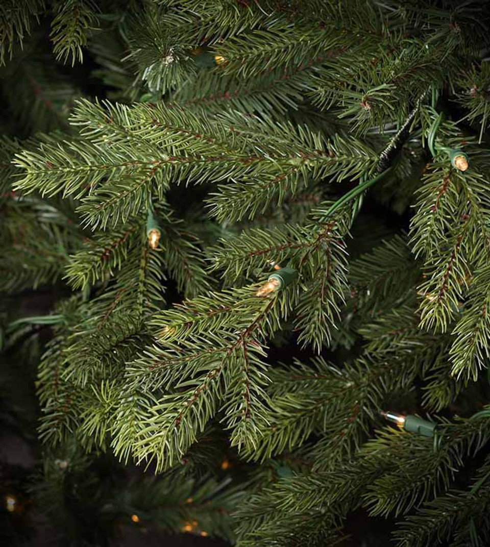 midland wexford spruce midland wexford spruce